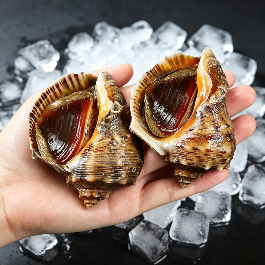 Whole sea whelks in shell - view 1